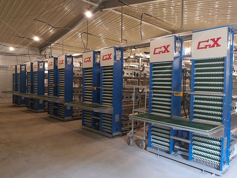 Breeder Cage Feeding System high quality