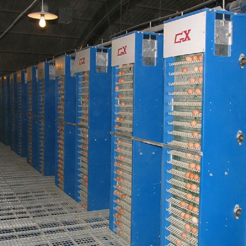 Broiler burmatningssystem